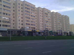 Hostel Vishnevskogo