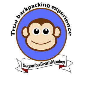 Beach Monkey@Colombo Airport Negombo