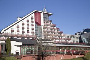 Hotel Piatra Mare