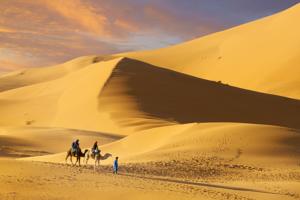 Camel Trek Bivouac
