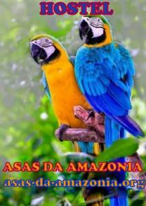 Hostel Asas Da Amazonia
