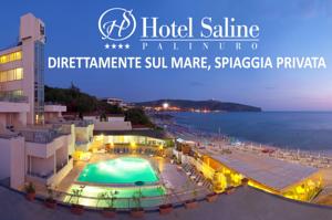 Hotel Saline