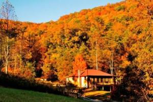 Snug Hollow Farm Bed and Breakfast