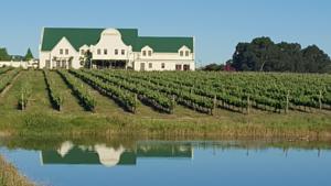 Nwanedi Wine & Country Manor