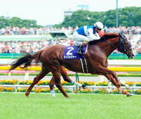 Tokyo Fuchu Racecourse Tour with Reserved Seating