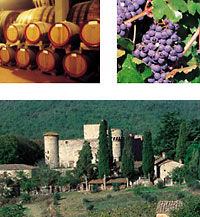 Private Tour: Chianti Region Wine Tasting 