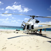 Private Helicopter Tour: Great Barrier Reef Island Snorkeling and Gourmet Picnic Lunch