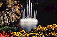 Victoria City Sightseeing Tour and Butchart Gardens from Victoria
