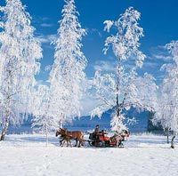 Christmas Horse Drawn Sleigh Ride from Salzburg