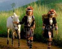 Private Tour: Hill Tribes and the Golden Triangle 