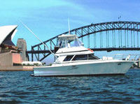 Sydney Harbour Deluxe Small Group Lunch Cruise