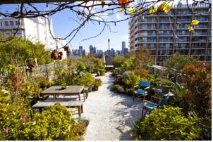 Regents Court Sydney