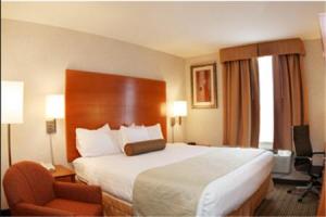 Best Western JFK Airport