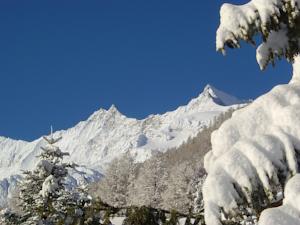 Chalet Alpin-Snowball Saas Fee
