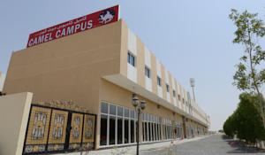 Camel Campus