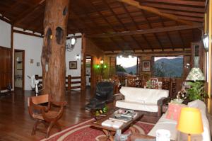Hostel Tree House