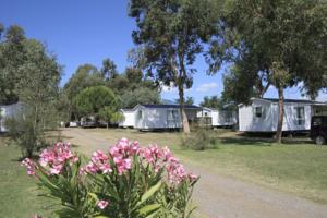 Camping Miami plage