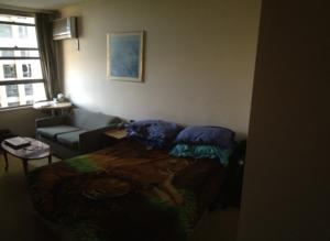 Studio Apartment Park Street