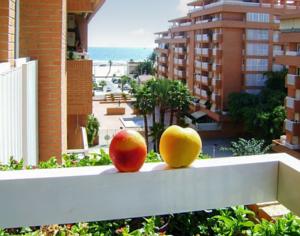 Apartment La Vista del Mar