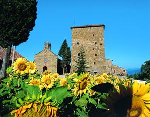 Castello Di Ristonchi