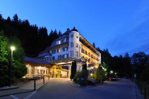 Superior Hotel Solsana Gstaad