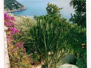 Villa Quattro Stagioni - Amalfi Coast