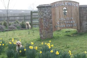 Middlewick Holiday Cottages