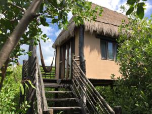Manglex Cenote Eco Hotel