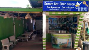 Dream Cat-Cher Hostel