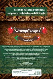 Orangotango's / Chalé-Suíça