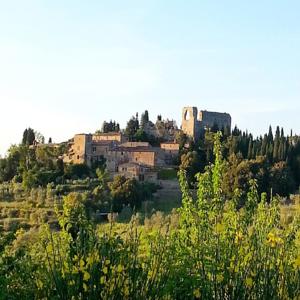 Castello Montelifre'