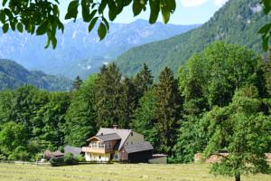 Ferienwohnung Alpenwiesen