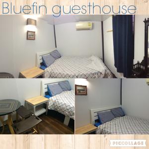 Bluefin Guesthouse