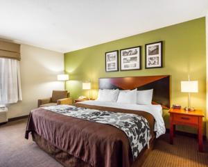 Sleep Inn & Suites Auburn