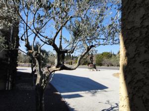 Le Fabian des Baux