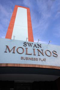 Swan Molinos Business