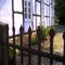 B&B Rosindell