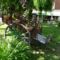 Hotel Le Chalet Alpin