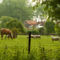 Herenboer Damme