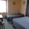 Hotel Le Chalet Alpin