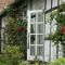 B&B Rosindell