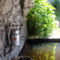 Camping du Buisson