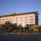 Hotel Simba