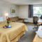 Comfort Inn Dryden