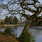 Best Western Preston Chorley West Park Hall Hotel and Leisure Club