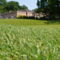 Shaw Hill Hotel Golf And Country Club