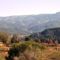 Hillwatering Country House