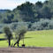 Domaine De Manville
