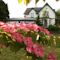 Robin Hill House B&B