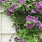 Holiday Home La Poterie Damme